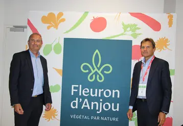 fleuron d'anjou