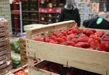 fraise rungis