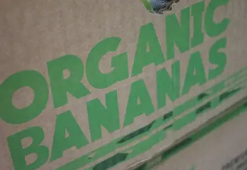 bananes bio