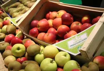 DEsmettre bio comptoir producteur