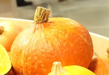 En France, les superficies consacrées aux courges ont augmenté de 39% durant les dix dernières années. © RFL