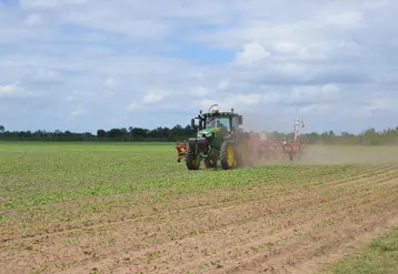 Les légumes bio de transformation, comme le haricot, apportent de la diversification dans les espèces végétales et laissent la possibilité d’implanter des cultures intercalaires. © D.Cordaz
