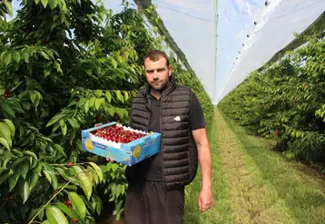 En médaillon, Sébastien Lacombe commercialise sa production sous la marque Gouttes du Soleil, qu'il a acquise en 2015. © A. Lasnier