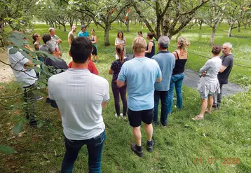 La gestion de l'enherbement est une des thématiques de travail du groupe Dephy noix de Dordogne. © Chambre agriculture Dordogne