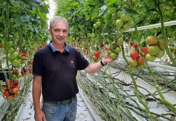 « Les variétés du type « Internal Red » et plus largement les variétés du segment « grappes gustatives » se caractérisent par une forte vigueur et une végétation souvent très développée », commente Alain Guillou dans les essais du Caté. © Caté