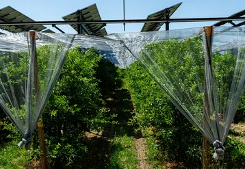 Les panneaux photovoltaïques sont les installations de production d’énergies renouvelables qui devraient le plus se développer en nombre, selon le rapport de l'Ademe. © SunR