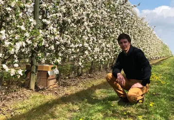 Alexandre Prot  possède une quarantaine de ruches qui restent toute l'année sur son exploitation. Elles assurent la pollinisation et produisent 500 kg de miel par an. © ANPP