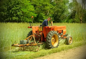 Les couverts végétaux peuvent être un moyen d’enrichir le sol en matière organique, de limiter le développement des adventices, de moins travailler le sol, de le protéger contre l’érosion ou encore de capter l’azote.  © Acpel