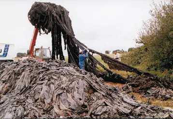 Adivalor ambitionne de soutenir une ouverture d’unité de recyclage par an. 