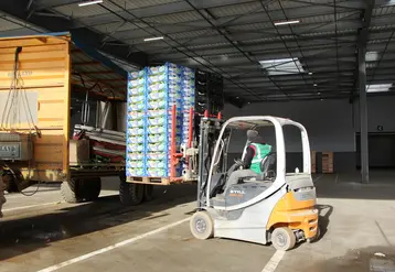 La formation du personnel et le choix du matériel de manutention sont essentiels pour limiter les chocs sur les fruits et légumes. © V. Bargain