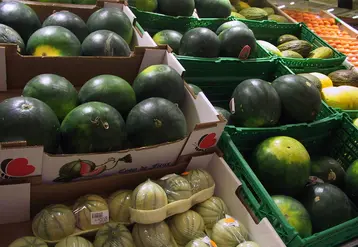 Au mois de juillet neuf magasins sur dix détiennent du melon, contre trois sur quatre pour la pastèque. © RFL