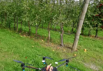 Les premiers essais de pulvérisation par drone montrent une hétérogénéité de l'application. © CTIFL
