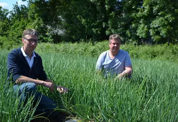 Damien Le Nan, producteur de légumes (à droite) a décidé de tester une nouvelle méthode, à base d’huiles essentielles d’ortie et de prêle. © C. Pape