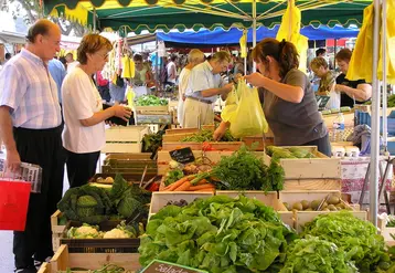 La baisse des achats de salade rend compte du recul des variétés plus traditionnelles. © RFL