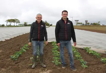 L’exploitation de Philippe et Jean-Philippe Lesné est certifiée bio depuis mars 2020. © V. Bargain