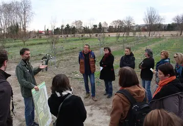 La mise en place d'arbres dans un verger maraîcher nécessite de bien évaluer les objectifs dès la phase de conception, et d'avoir des connaissances spécifiques pour leur conduite. © RFL