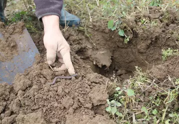 La qualité des sols est un enjeu majeur pour le monde agricole.