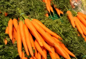 Les carotte fanes sont un produit d’attrait de l’ensemble du linéaire légumes.