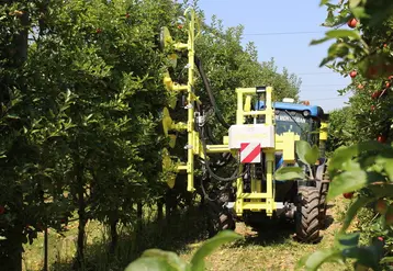 De plus en plus de travaux du verger impliquent une utilisation de machine, comme ici l'effeuillage.