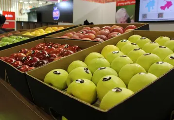 La variété constitue le premier critère d'achat des pommes.