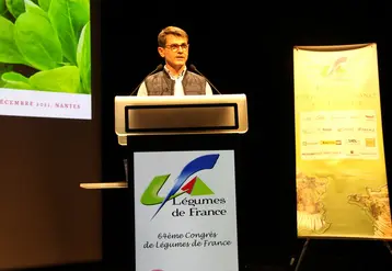 Selon Interfel, les achats de légumes ont augmenté de 4,5% en volume en 2020, mais diminué de 3% en 2021.