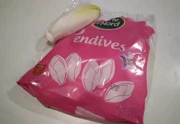 En endive, le sachet est d’abord une technique de conservation.