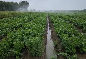 L’adaptation au créneau de production est essentielle.