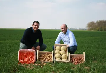 « Nous sommes agriculteurs, gestionnaires d’exploitations, expéditeurs de fruits et légumes, mais aussi pré-transformateurs », résument Augustin et Matthieu d’Hérouël.