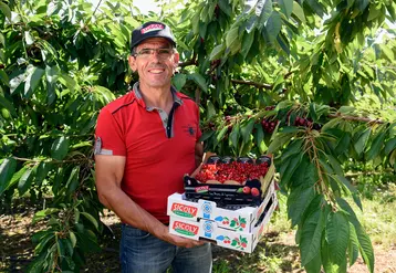 Patrick Reynard, président de la coopérative de producteurs de fruits Sicoly : « De par la diversité de nos productions, nous avons aussi une grande diversité d’exploitations ».