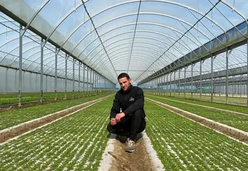 « Le travail sous grands abris est beaucoup plus agréable qu’en extérieur, notamment en hiver », souligne Frédéric Boutouiller.
