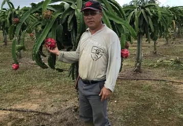 Le renforcement de la recherche pourrait permettre le développement de certaines productions, comme le souhaite Albert Siong, président de la Chambre d’agriculture.