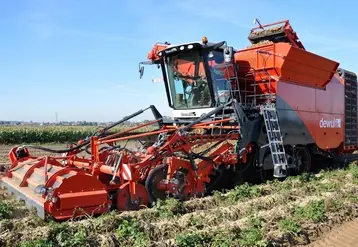 Malgré des superficies en hausse, les aléas climatiques  passés, présents et futurs pourraient réserver des surprises sur le rendement et la qualité des pommes de terre en Europe. 