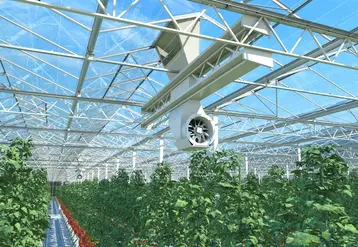 Les ventilateurs Dalsem X-air aspirent l’air au-dessus du toit des serres.