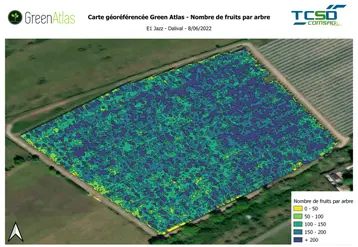 L'algorithme de Green Atlas produit des cartes d’intensité de floraison ou de charges des arbres. 