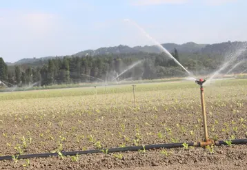 Des adaptations de la gestion de l'eau sont nécessaires car  les besoins des plantes devraient aussi augmenter avec une croissance de l'évaporation.