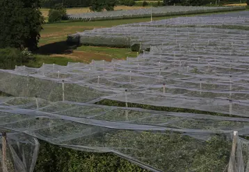 Le travail de cartographie des risques est courant dans de nombreux secteurs d'activité, mais pas dans le monde agricole.
