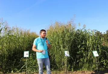 La station maraîchère de Bretagne Sud travaille sur l'intérêt de couverts végétaux pour la couverture et la structuration du sol, la limitation du salissement, ou encore la fourniture d’azote.