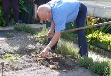 Les jardiniers amateurs achètent plus de fruits et légumes que la moyenne des consommateurs.  