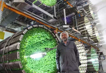 Pascal Thomas est passé des nouvelles technologies au développement d'un concept d’agriculture verticale automatisée.