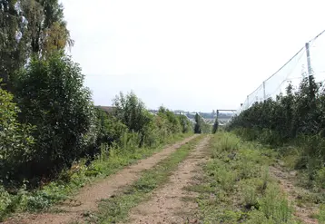 La plantation de haies autour des vergers permet de limiter la dérive. 