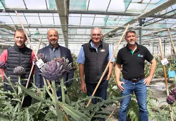 De gauche à droite : Patrick Guivarch, Marc Keranguéven, Georges Guezennoc, maraîcher bio, et David Esnault. L’OBS réalise ses croisements sous tunnel et teste les variétés sous tunnel puis en plein champ avant de les mettre à l’essai chez des producteurs pendant trois ans. 