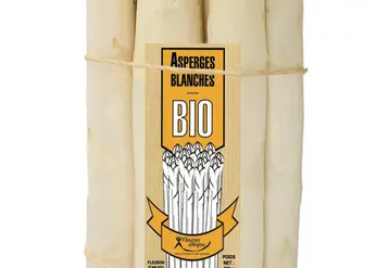 En 2020, la coopérative Fleuron d'Anjou prévoit de commercialiser en bio 50 t d’asperges blanches et 10-15 t d’asperges vertes. © Fleuron d Anjou