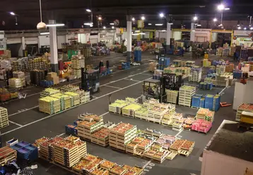 L'importance du commerce traditionnel de proximité dans la capitale belge a permis au marché de gros de Bruxelles d'entretenir une solide activité depuis le début du confinement.  © Philippe Gautier - FLD