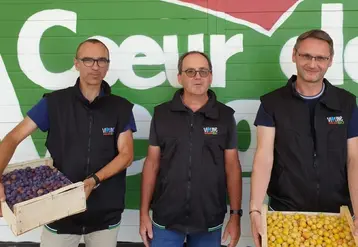 A gauche Alexandre Cancel, co-dirigeant de Cancel Fruits ; au centre Frédéric Granet, président de la coopérative Prayssica et de la SA Bel Air ; à droite Franck Van De Wiele, directeur général de Bel Air. © Cancel Fruits