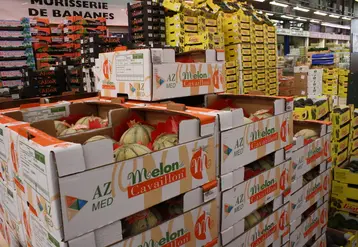 Un mouvement collectif a eu lieu autour de la demande d’IGP Melon de Cavaillon, de la part de toutes les entreprises engagées, quelque soit leur taille ou leurs volumes.  © Philippe Gautier - FLD
