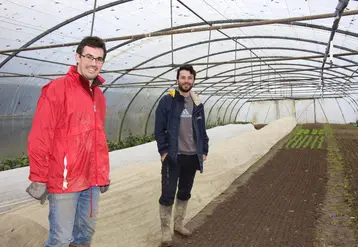 « 20% des légumes sont destinés aux restaurants qui pourront notamment valoriser les légumes non vendables en frais », expliquent Maxime Lefebvre (à gauche) et Christophe Godineau.   © Véronique Bargain - FLD