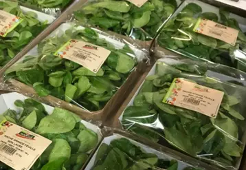Ces barquettes sont commercialisées  auprès des primeurs et des grossistes en carton de six. © Marais