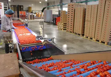 Après quelques semaines un peu compliquées, le marché fin avril était plutôt favorable pour les producteurs français. © Véronique Bargain - FLD ...