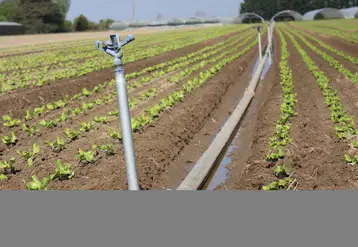 Le plan Eau, qui vise à économiser 10 % de l’eau consommée en France dispose de 30 millions d'euros par an pour le soutien de pratiques économes en eau.