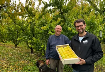 Avec Christian et Patrick, exit le maraîchage. Aux Fruits du Campredon, il n'y a plus que de l'arboriculture.